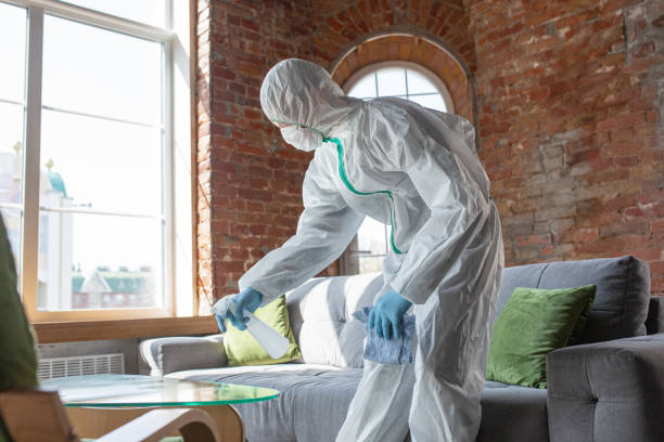 Best Asbestos and Lead Testing During Mold Inspection in USA